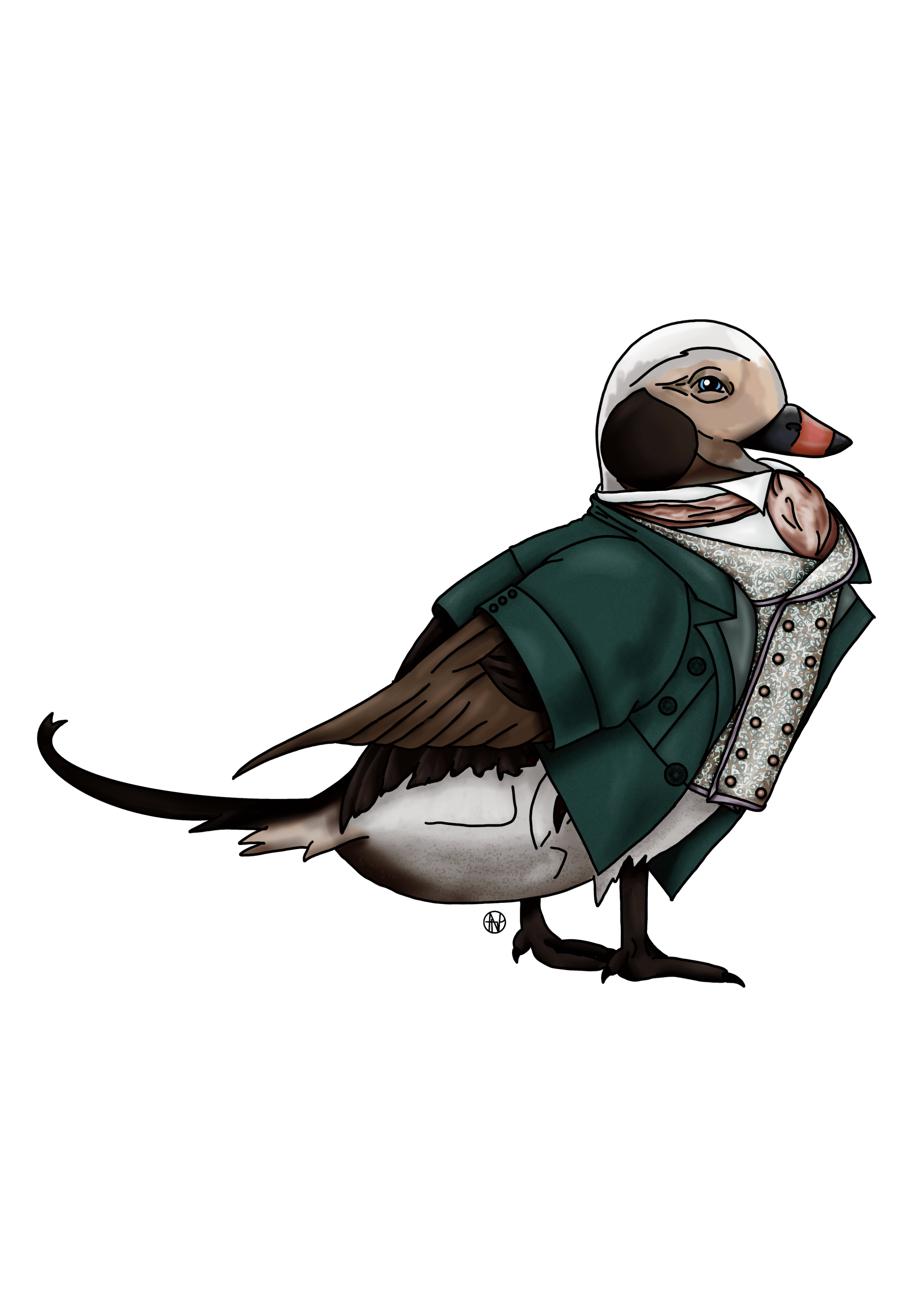 Ducktor Who - Duck fanart