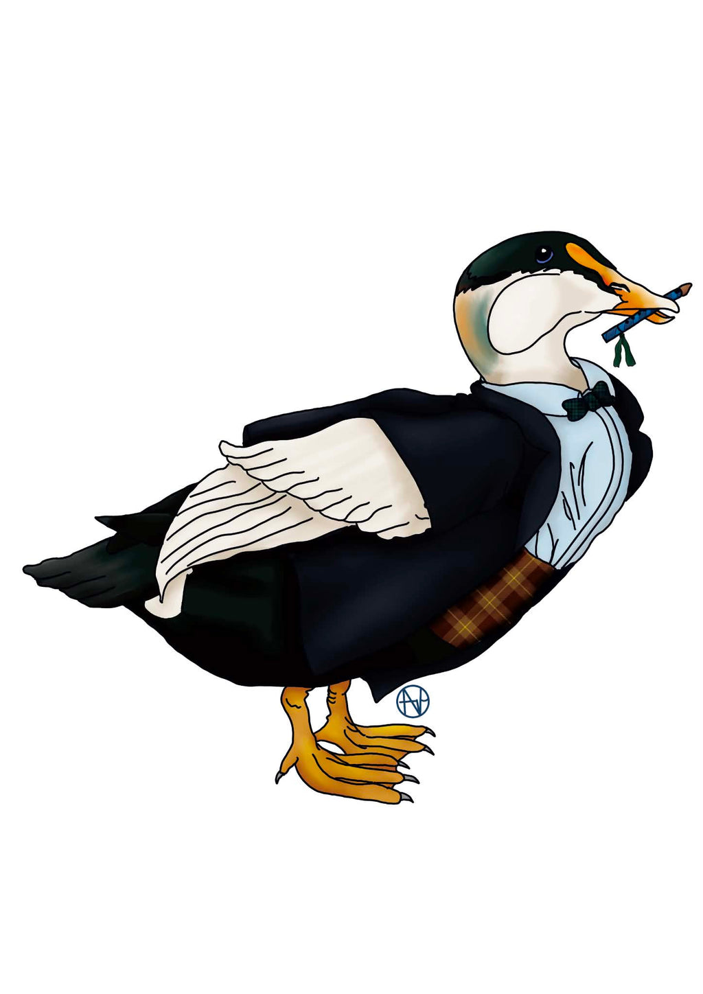 Ducktor Who - Duck fanart