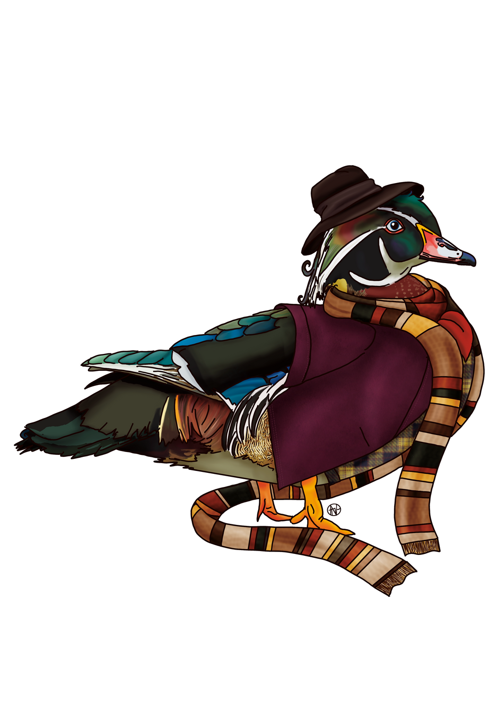 Ducktor Who - Duck fanart